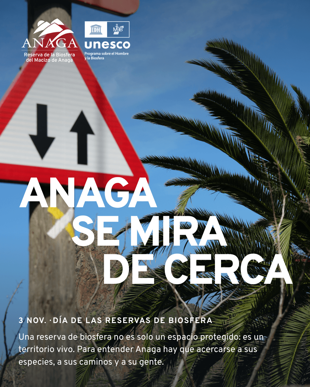 Cabildo de Tenerife — 1